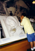 [19990823_12.jpg]